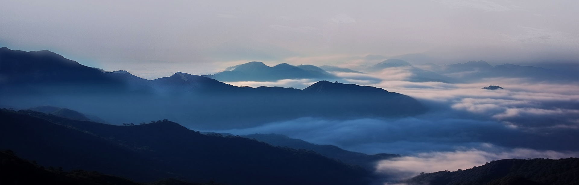 Z6集团新材料股份有限公司