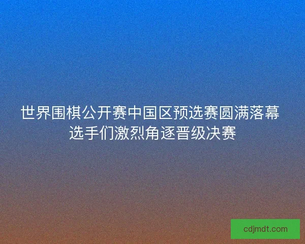 世界围棋公开赛中国区预选赛圆满落幕 选手们激烈角逐晋级决赛