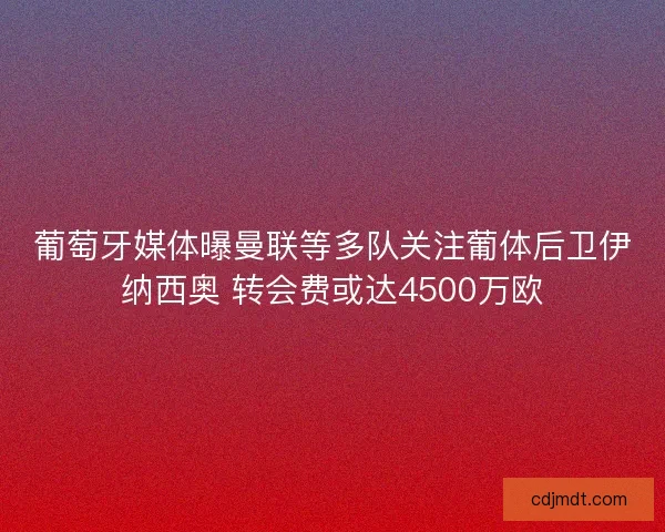葡萄牙媒体曝曼联等多队关注葡体后卫伊纳西奥 转会费或达4500万欧